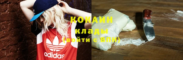 МДПВ Вяземский