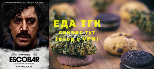 МДПВ Вяземский