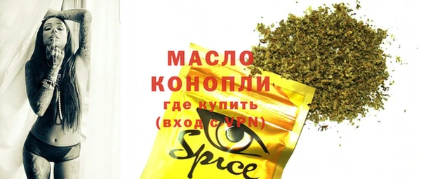 МДПВ Вяземский