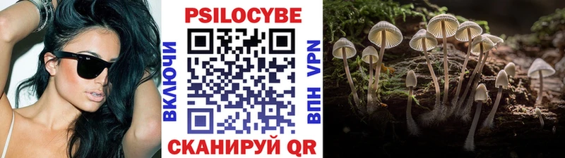 купить  сайты  Химки  Псилоцибиновые грибы мицелий 